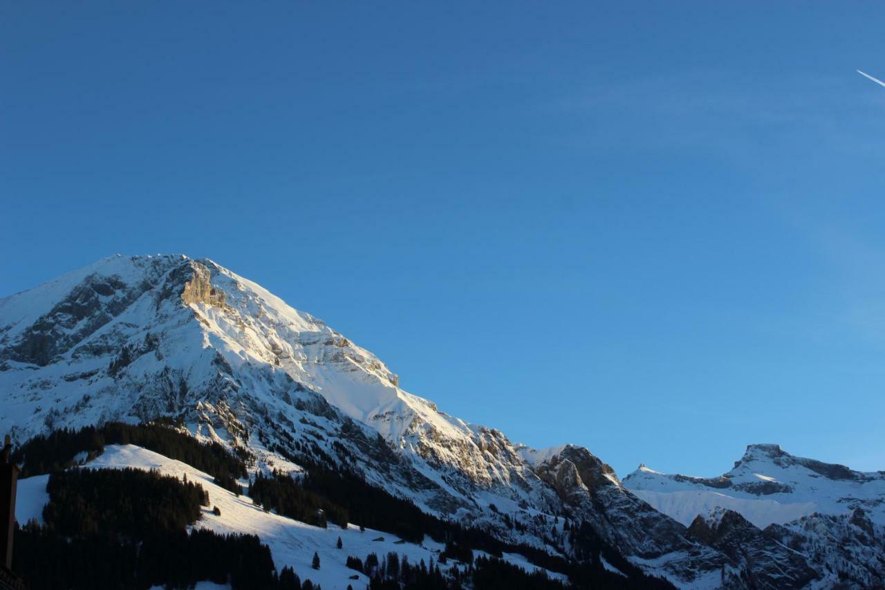 The Engstligen Daire Adelboden Dış mekan fotoğraf